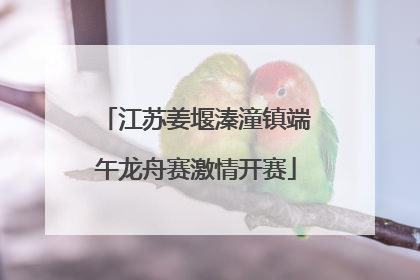 江苏姜堰溱潼镇端午龙舟赛激情开赛