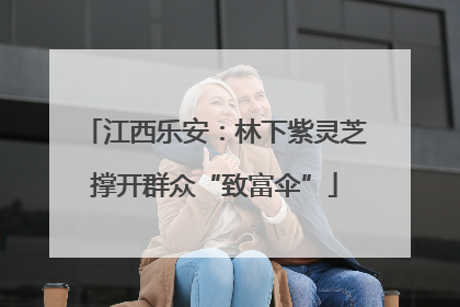 江西乐安：林下紫灵芝撑开群众“致富伞”