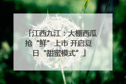 江西九江：大棚西瓜抢“鲜”上市 开启夏日“甜蜜模式”