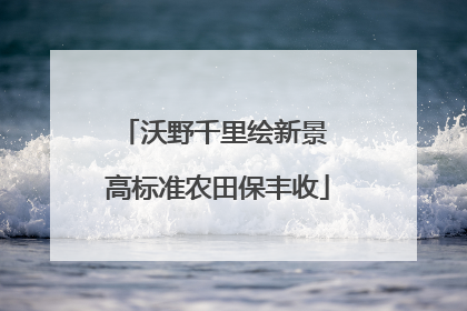 沃野千里绘新景 高标准农田保丰收