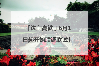 沈白高铁于6月1日起开始联调联试