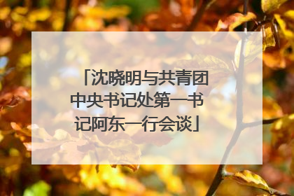 沈晓明与共青团中央书记处第一书记阿东一行会谈
