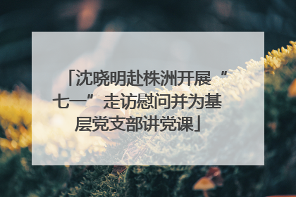 沈晓明赴株洲开展“七一”走访慰问并为基层党支部讲党课