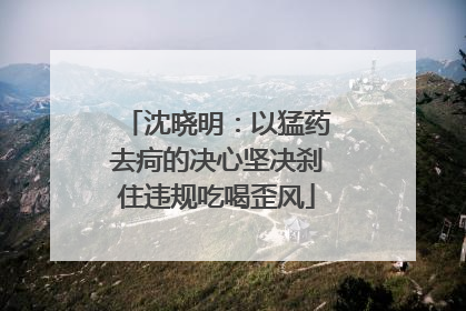 沈晓明：以猛药去疴的决心坚决刹住违规吃喝歪风