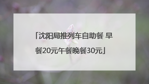 沈阳局推列车自助餐 早餐20元午餐晚餐30元
