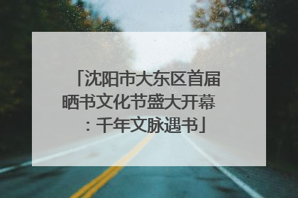 沈阳市大东区首届晒书文化节盛大开幕：千年文脉遇书