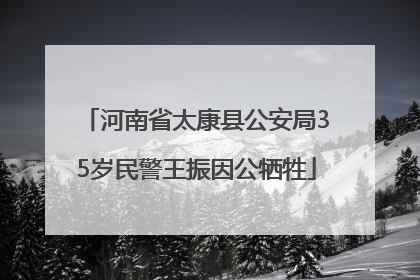 河南省太康县公安局35岁民警王振因公牺牲