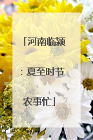 河南临颍：夏至时节农事忙