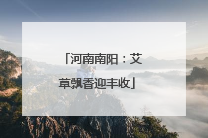 河南南阳：艾草飘香迎丰收
