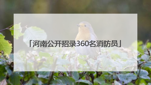 河南公开招录360名消防员