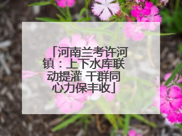 河南兰考许河镇：上下水库联动提灌 干群同心力保丰收