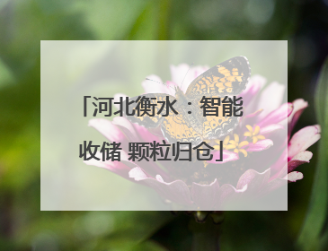 河北衡水：智能收储 颗粒归仓