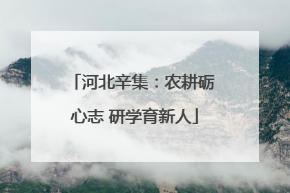 河北辛集：农耕砺心志 研学育新人