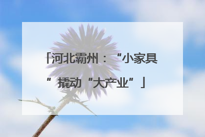 河北霸州：“小家具”撬动“大产业”