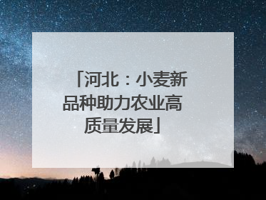 河北：小麦新品种助力农业高质量发展