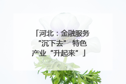 河北：金融服务“沉下去” 特色产业“升起来”