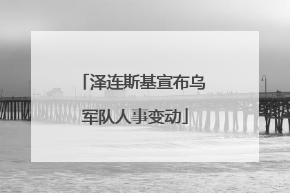 泽连斯基宣布乌军队人事变动