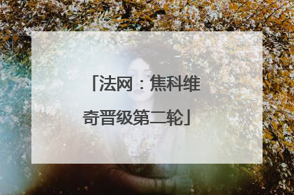 法网：焦科维奇晋级第二轮