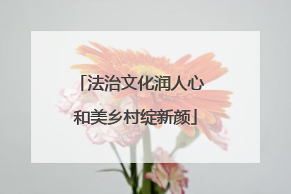 法治文化润人心 和美乡村绽新颜