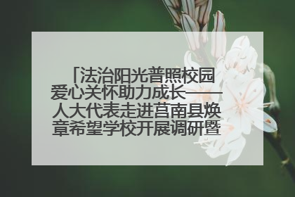 法治阳光普照校园 爱心关怀助力成长——人大代表走进莒南县焕章希望学校开展调研暨普法宣传活动