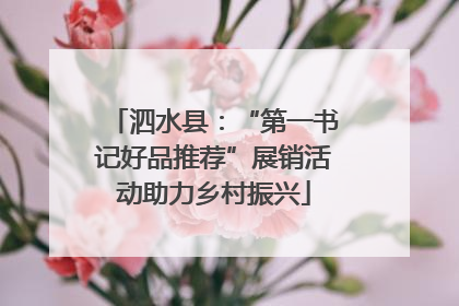 泗水县：“第一书记好品推荐”展销活动助力乡村振兴