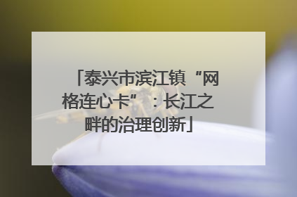 泰兴市滨江镇“网格连心卡”：长江之畔的治理创新