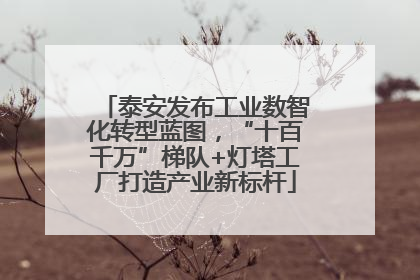 泰安发布工业数智化转型蓝图，“十百千万”梯队+灯塔工厂打造产业新标杆