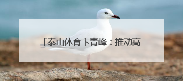 泰山体育卞青峰：推动高端竞技技术向全民健身装备转化，助力乡村振兴
