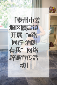 泰州市姜堰区顾高镇开展“e路同行 清朗有我”网络辟谣宣传活动