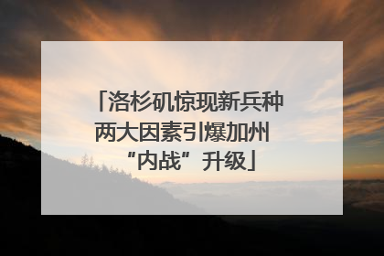 洛杉矶惊现新兵种 两大因素引爆加州“内战”升级