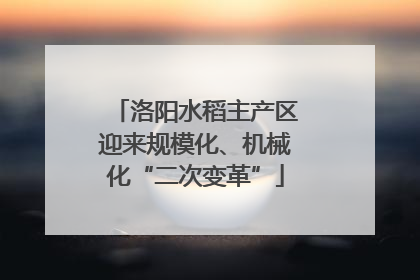 洛阳水稻主产区迎来规模化、机械化“二次变革”