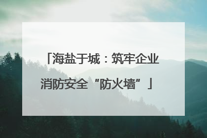 海盐于城：筑牢企业消防安全“防火墙”