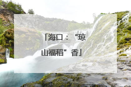 海口：“琼山福稻”香