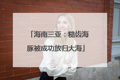 海南三亚：糙齿海豚被成功放归大海
