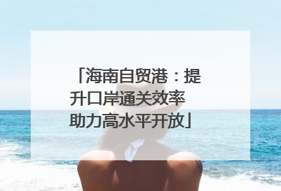 海南自贸港：提升口岸通关效率 助力高水平开放