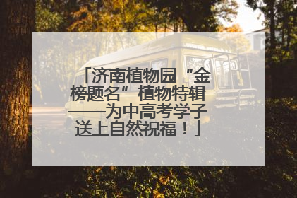 济南植物园“金榜题名”植物特辑——为中高考学子送上自然祝福！