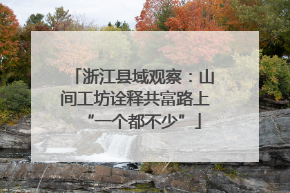 浙江县域观察：山间工坊诠释共富路上“一个都不少”