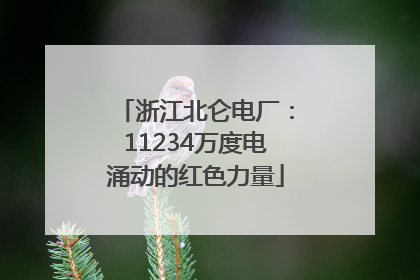 浙江北仑电厂：11234万度电涌动的红色力量
