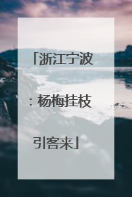 浙江宁波：杨梅挂枝引客来
