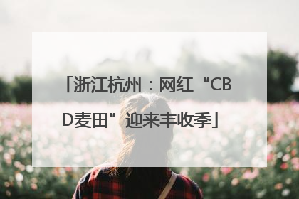 浙江杭州：网红“CBD麦田”迎来丰收季