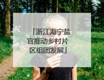 浙江海宁盐官推动乡村片区组团发展