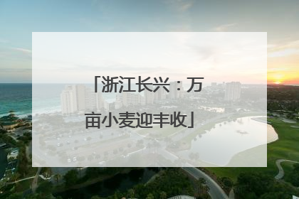 浙江长兴：万亩小麦迎丰收