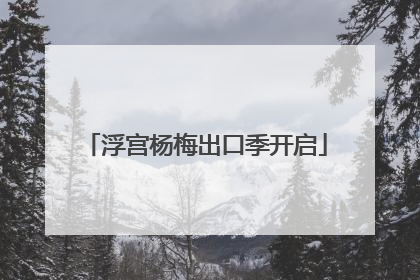 浮宫杨梅出口季开启