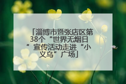 淄博市暨张店区第38个“世界无烟日”宣传活动走进“小义乌”广场
