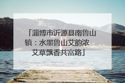 淄博市沂源县南鲁山镇：水墨鲁山艾韵浓 艾草飘香共富路