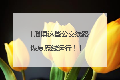 淄博这些公交线路恢复原线运行！
