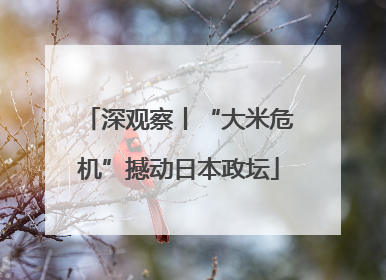 深观察丨“大米危机”撼动日本政坛