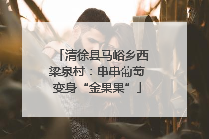 清徐县马峪乡西梁泉村：串串葡萄变身“金果果”