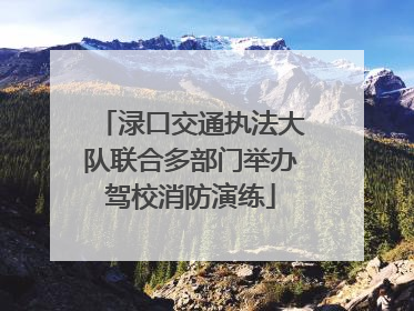 渌口交通执法大队联合多部门举办驾校消防演练