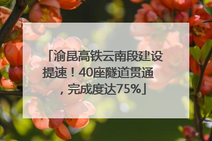 渝昆高铁云南段建设提速！40座隧道贯通，完成度达75%